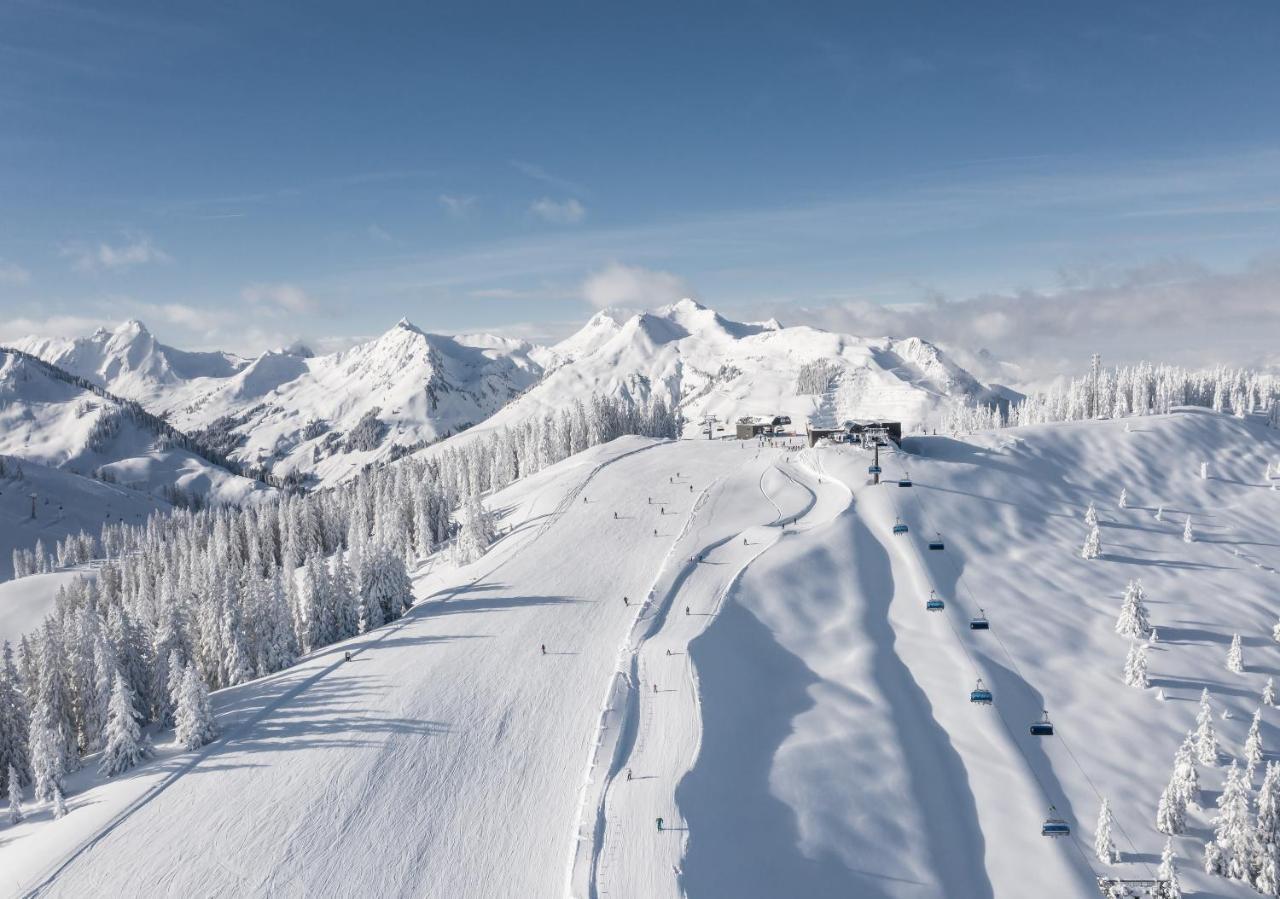 Apartments Niederseer Saalbach-Hinterglemm Dış mekan fotoğraf