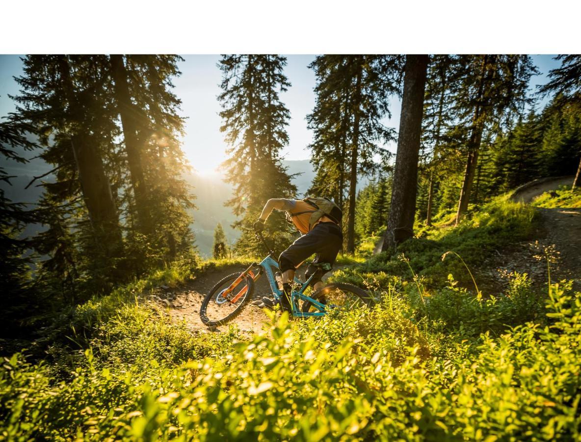 Apartments Niederseer Saalbach-Hinterglemm Dış mekan fotoğraf