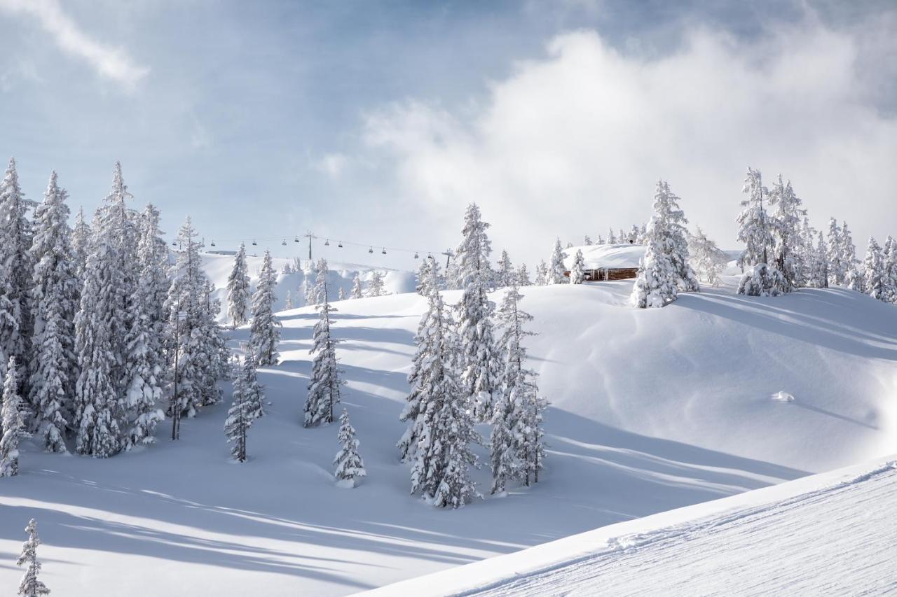 Apartments Niederseer Saalbach-Hinterglemm Dış mekan fotoğraf